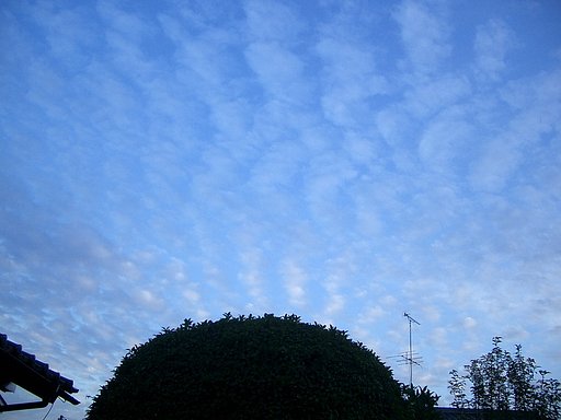 綿雲その2
