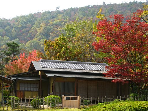 【秋】櫂の木
