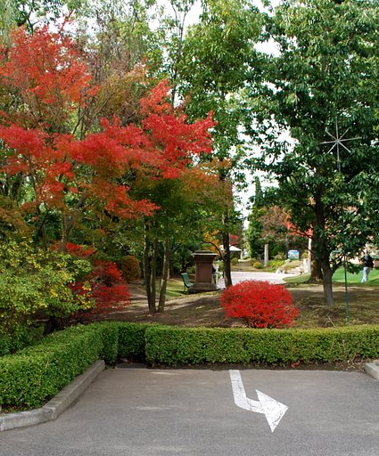 【秋】紅葉と標識