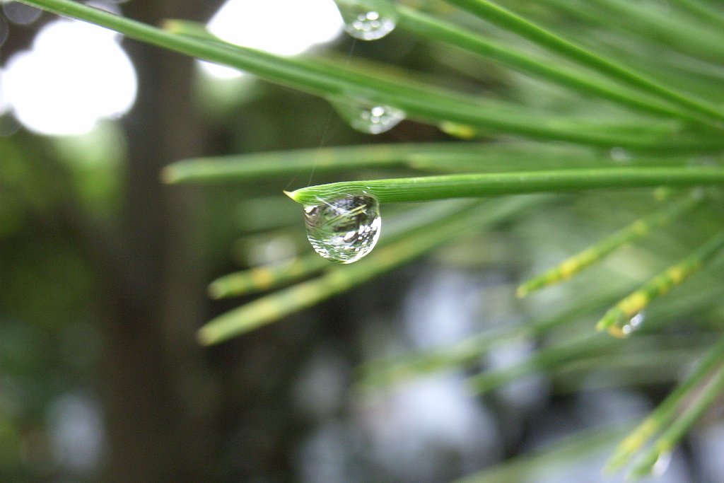 水滴