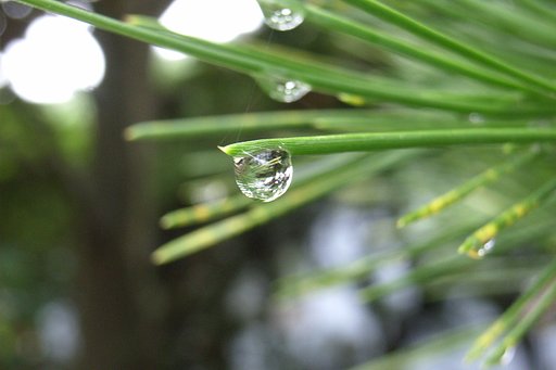 水滴