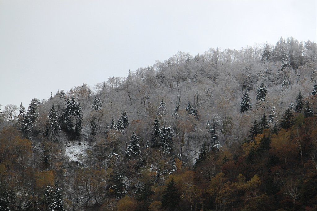 風雪
