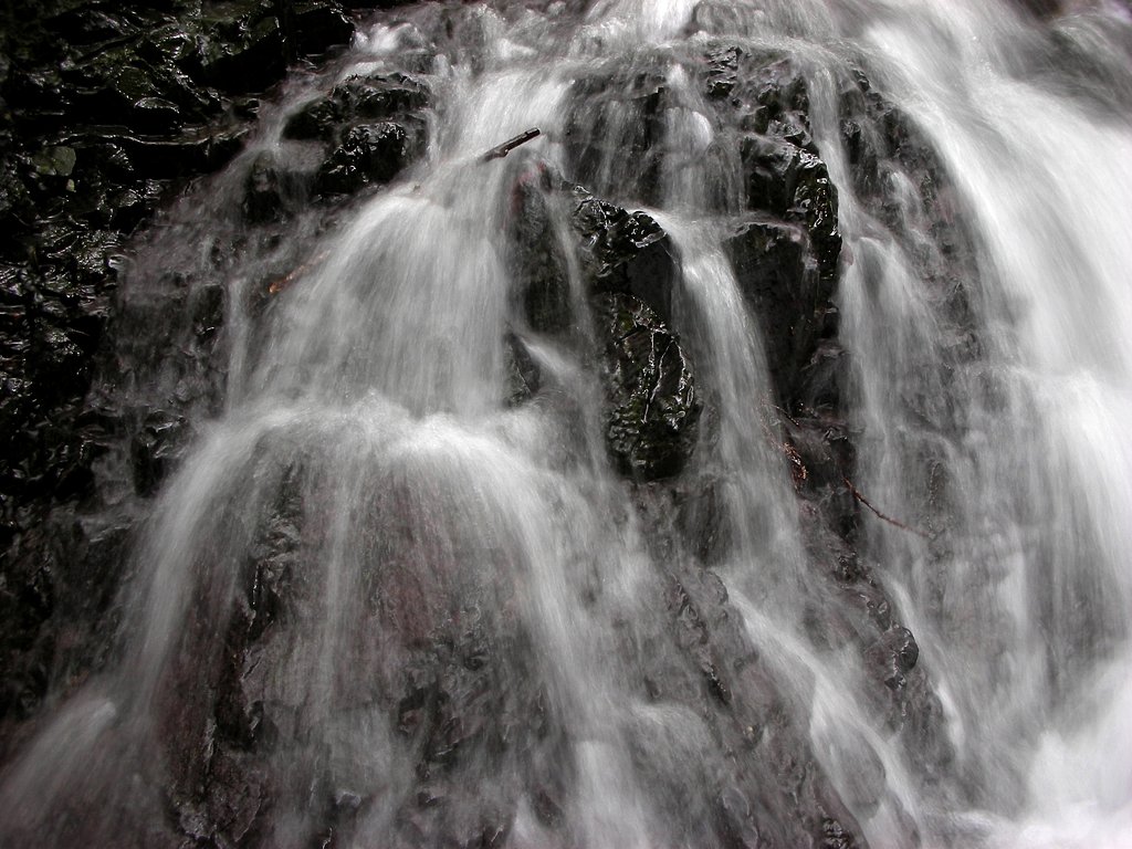 水の国