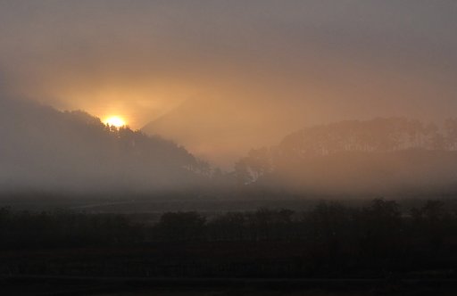 霧天