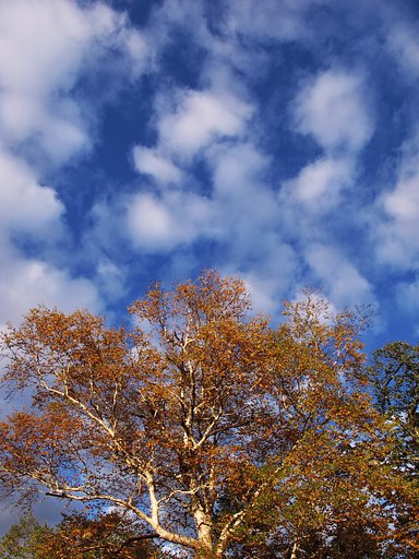 尾瀬の空