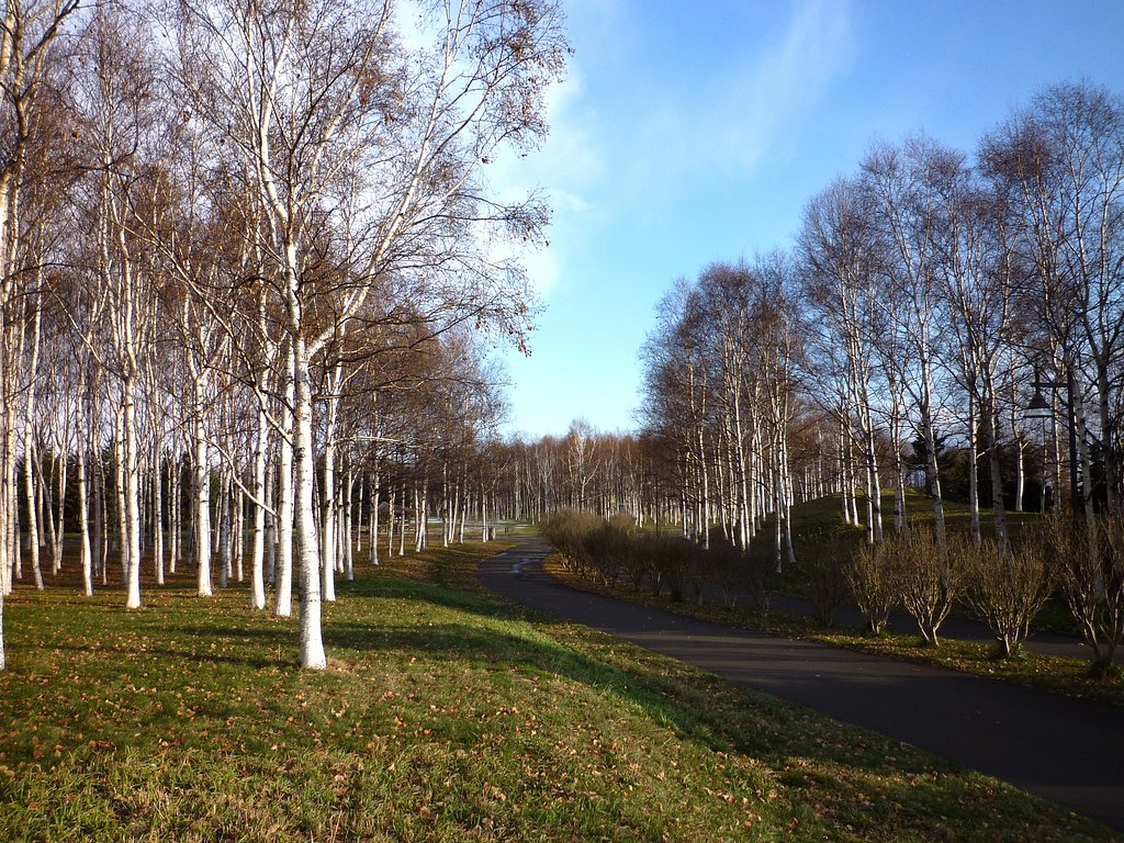 公園　3
