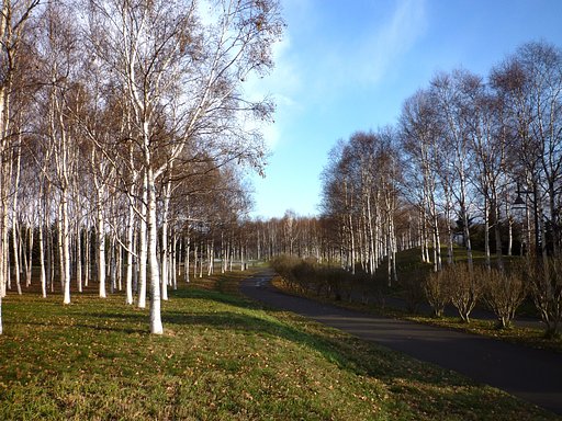 公園　3