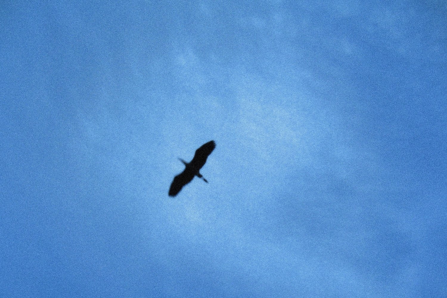 【流】流れゆく碧い空