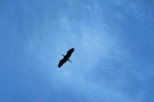 【流】流れゆく碧い空