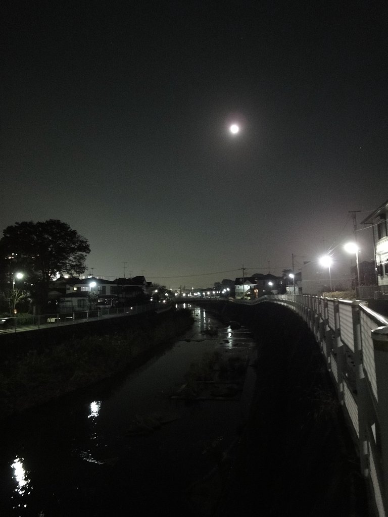 月夜の鶴見川