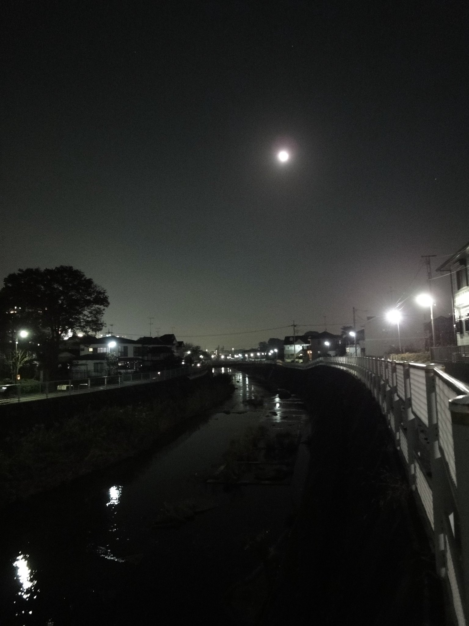 月夜の鶴見川