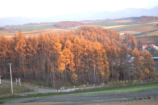 【秋】ブラウン♪