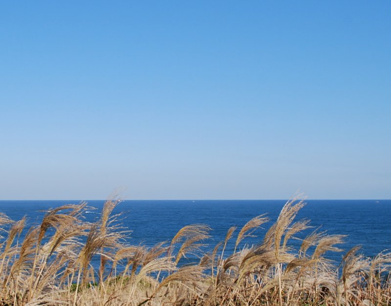 【秋】すすきと海