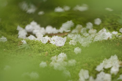 水に沈んでいるよ〜な