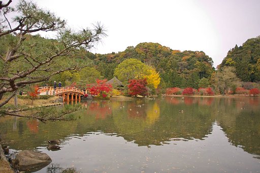 【秋】写り込む国宝・・・