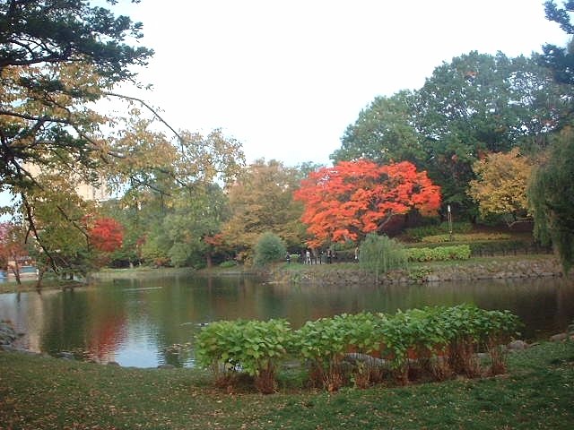 公園3