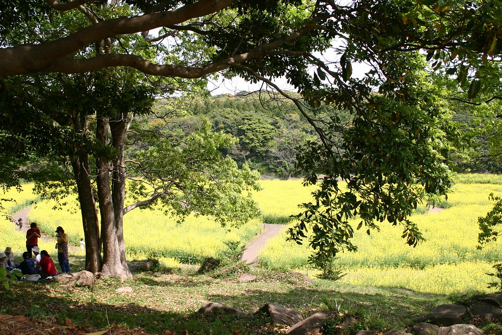 【緑】緑陰に集う