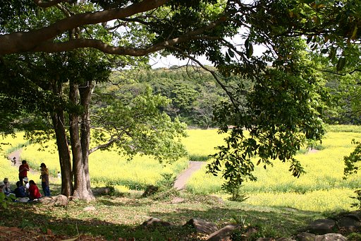 【緑】緑陰に集う