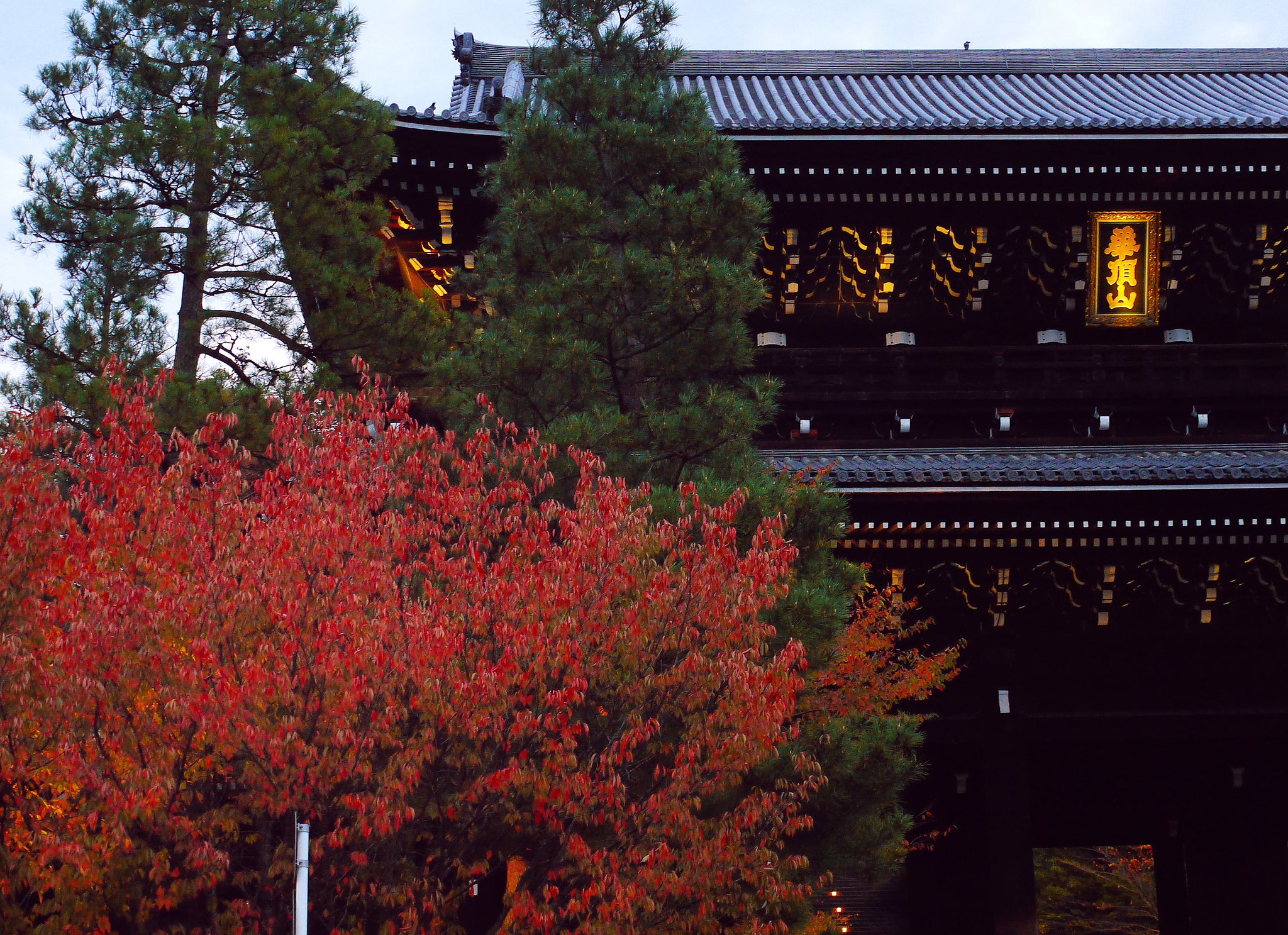 南禅寺の紅葉