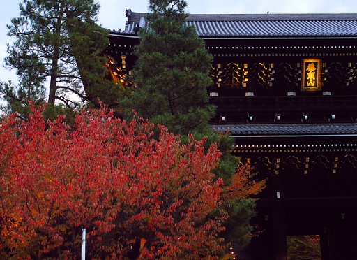 南禅寺の紅葉