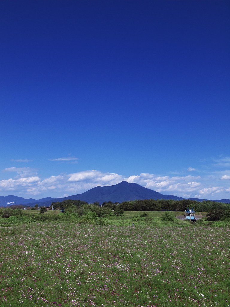 紫峰筑波山・・・