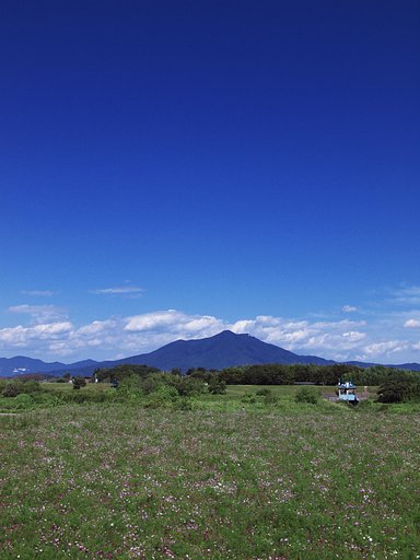 紫峰筑波山・・・