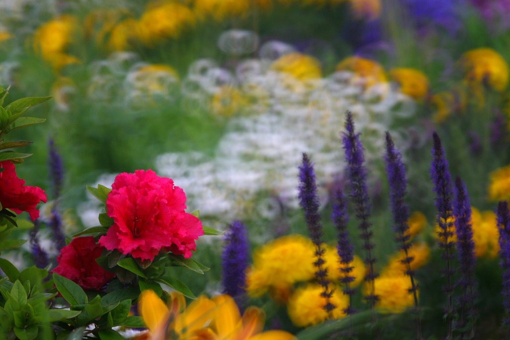 花道