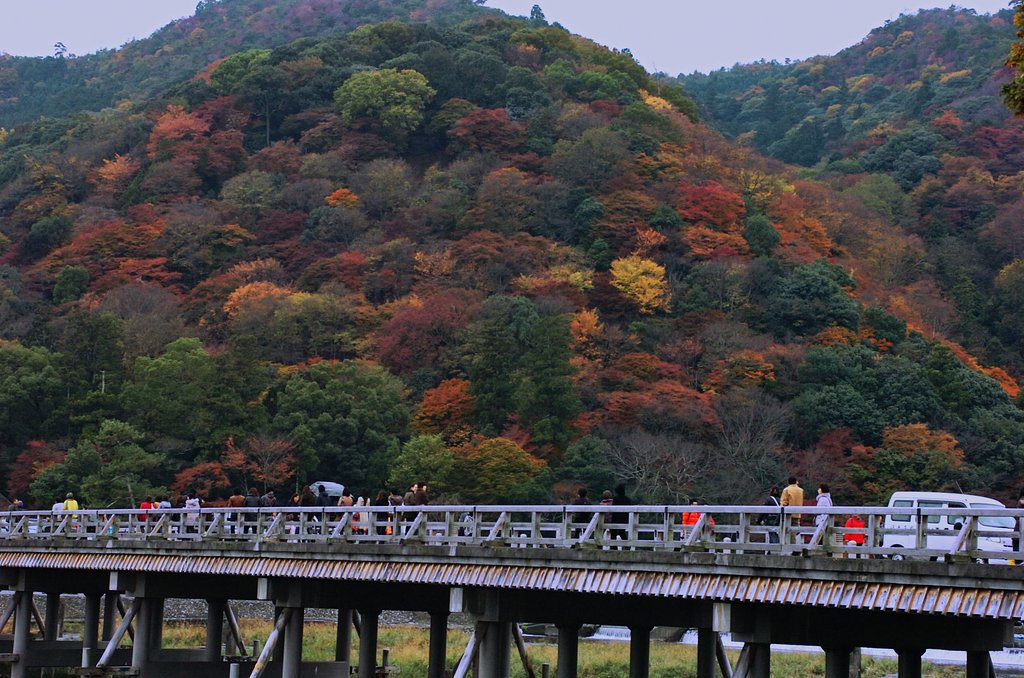 嵐山の紅葉