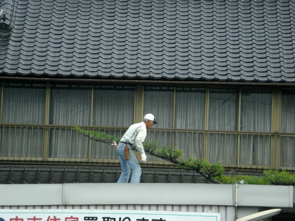 門掛けの松