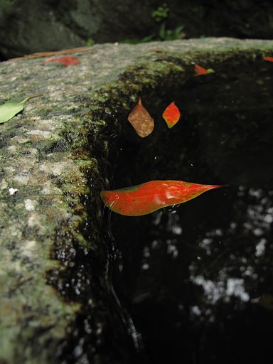 小さな風景・秋