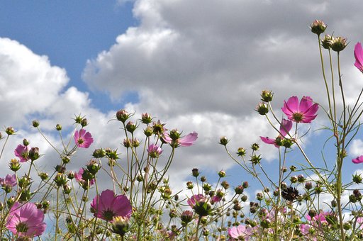 【秋】青空に向かって〜
