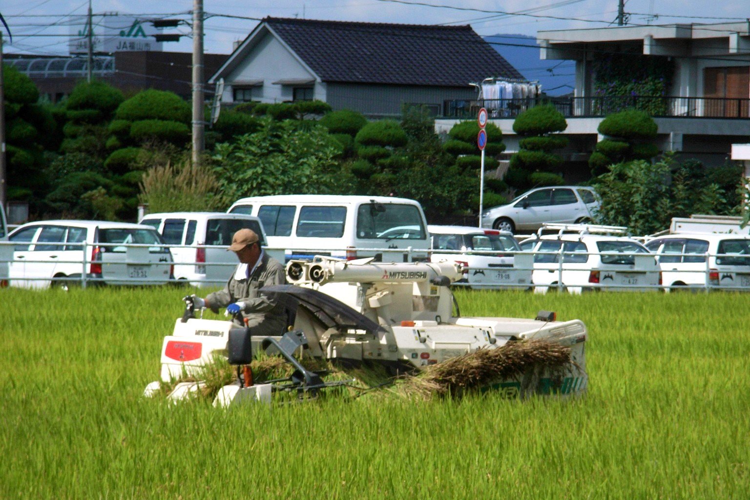 収穫その1