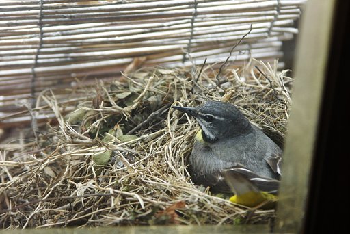 コマツさま、今度はいかがでしょうか。
