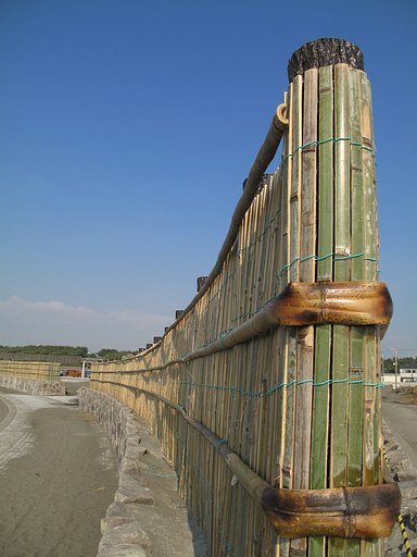 砂防竹