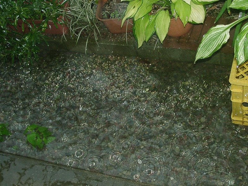 水面文様