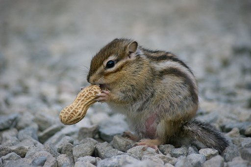 おいしいね！