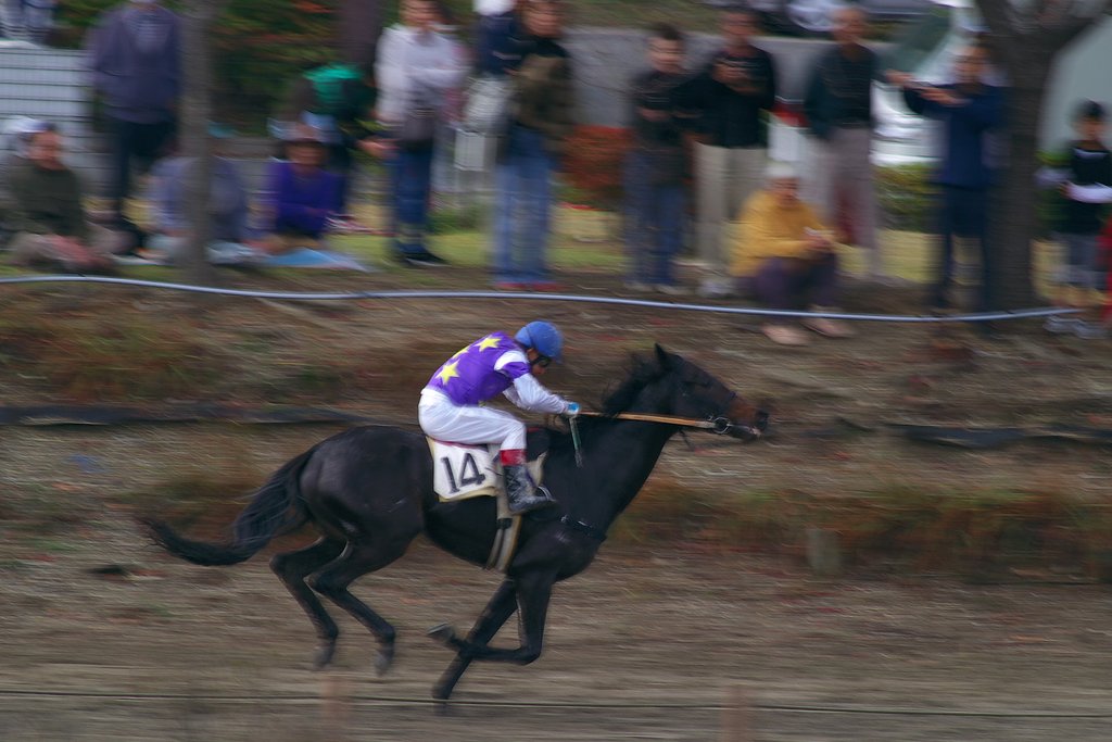 【秋】色の草競馬　２
