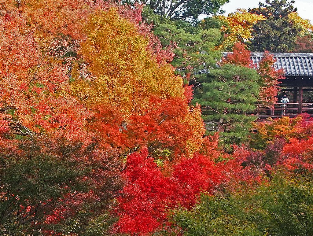 　東福寺