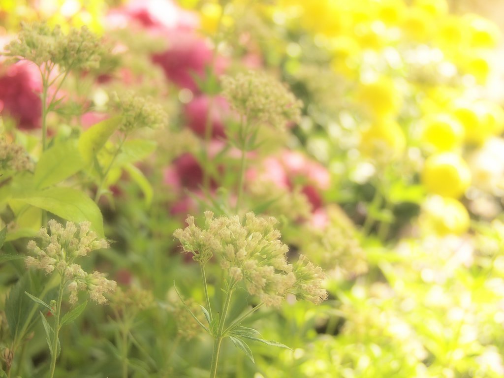 華やかに