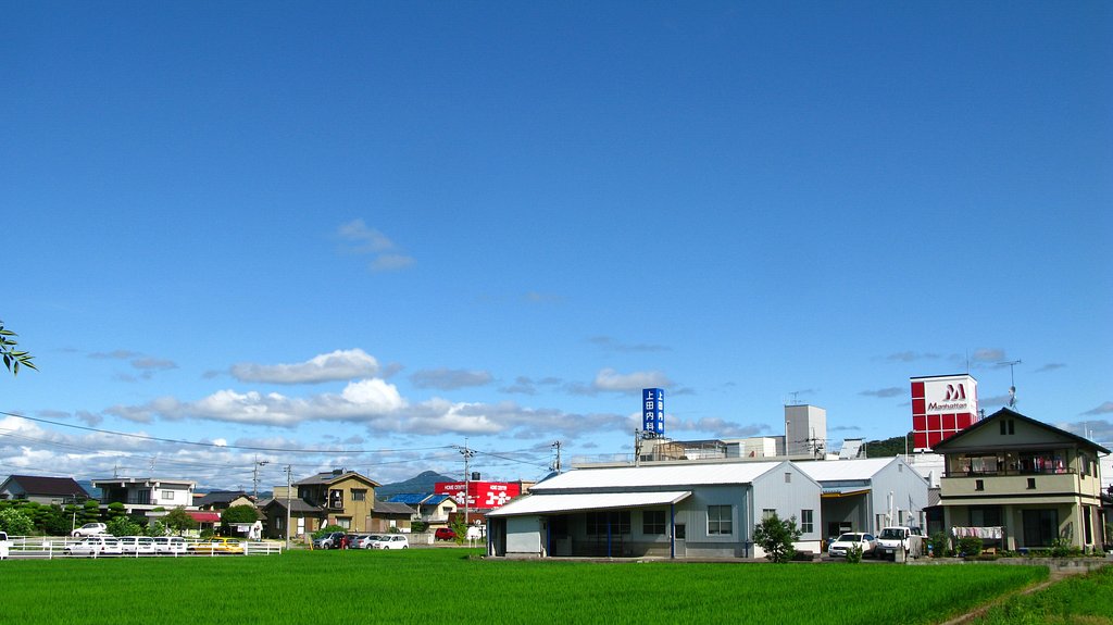 晴れました