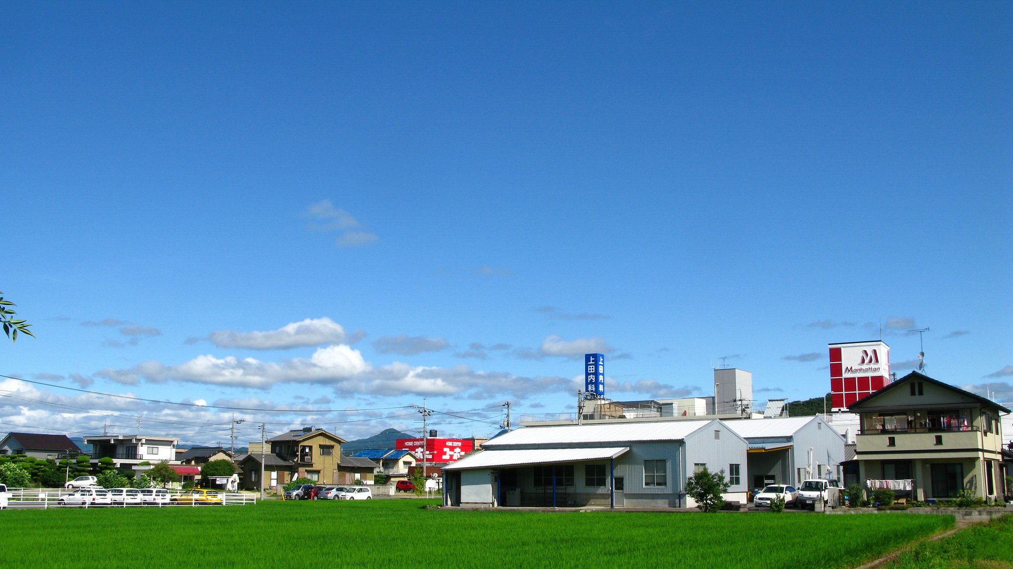 晴れました