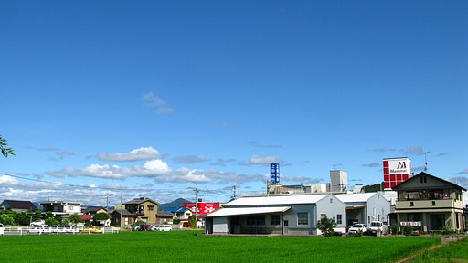 晴れました
