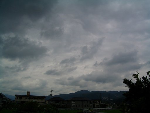 今日も？