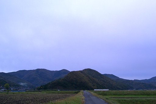どんよりと曇りの朝!