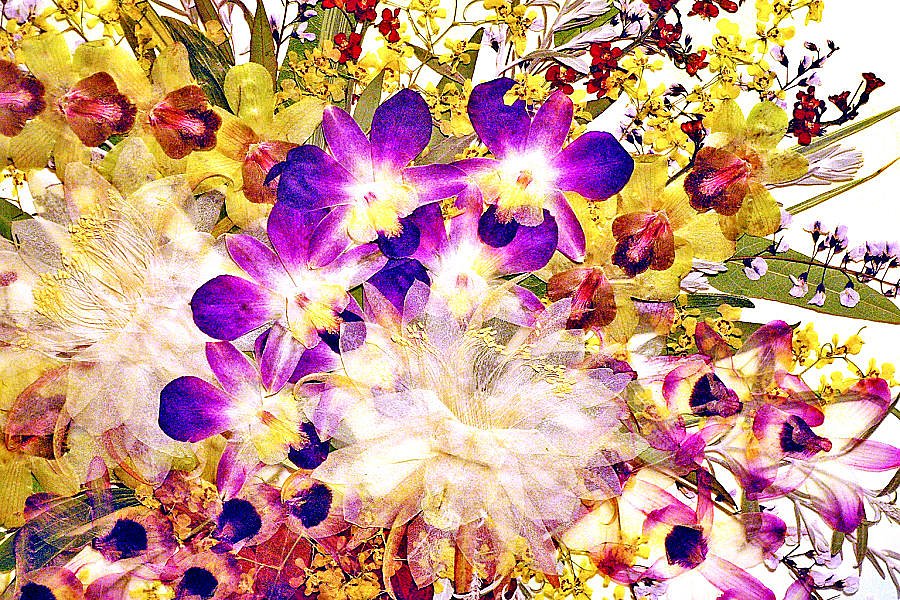 永久（とわ）の花束
