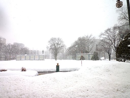 今日の雪です（＾＾；