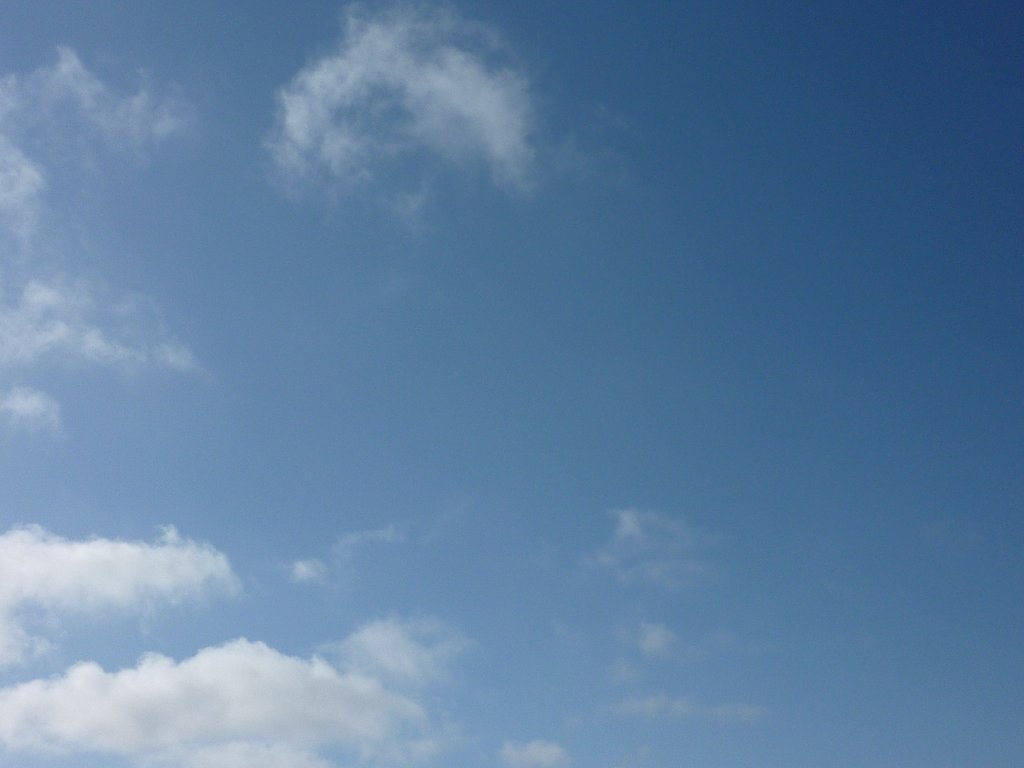 夏の空とは思えない・・・