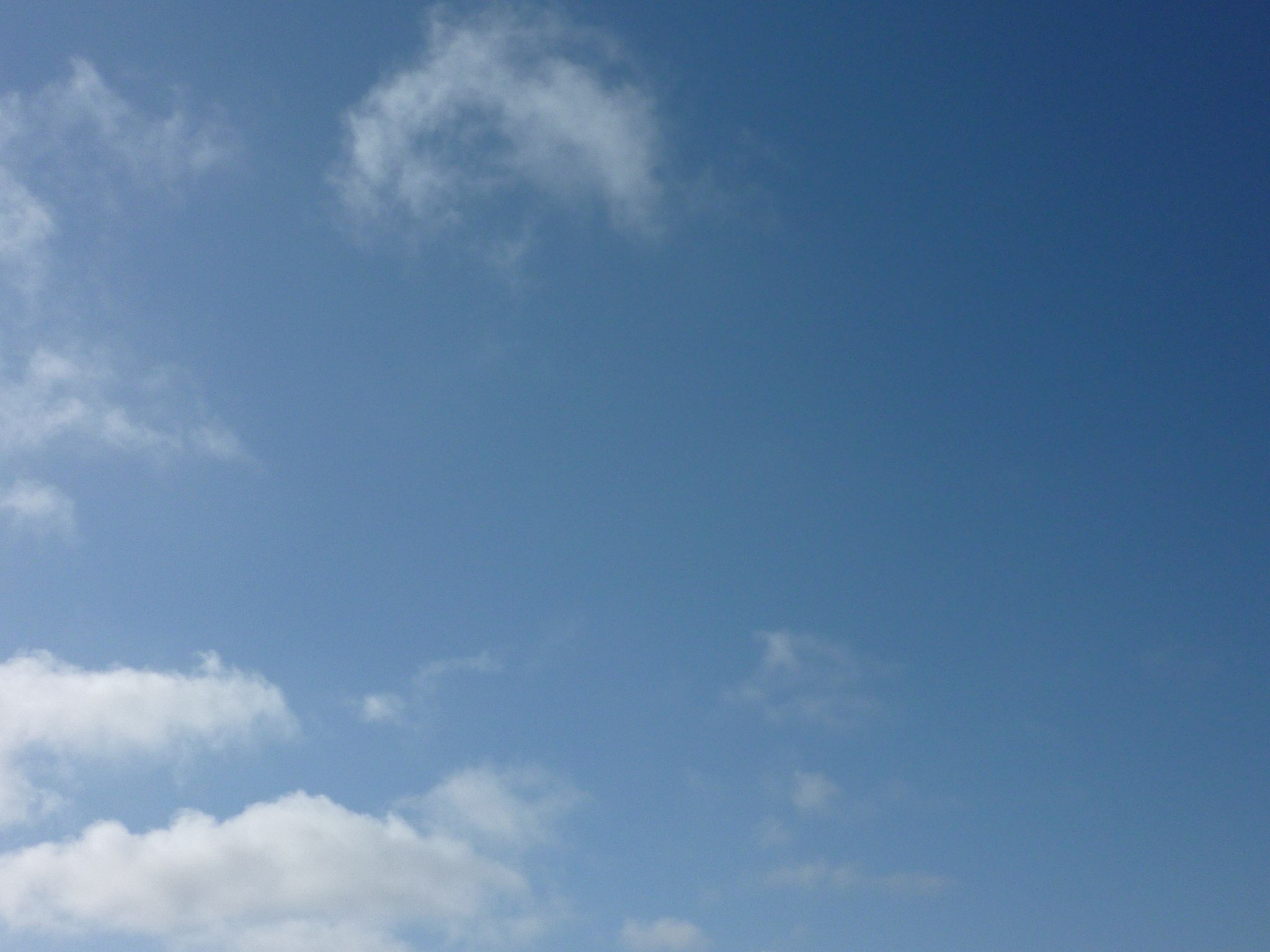 夏の空とは思えない・・・