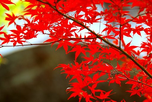京都　南禅寺にて