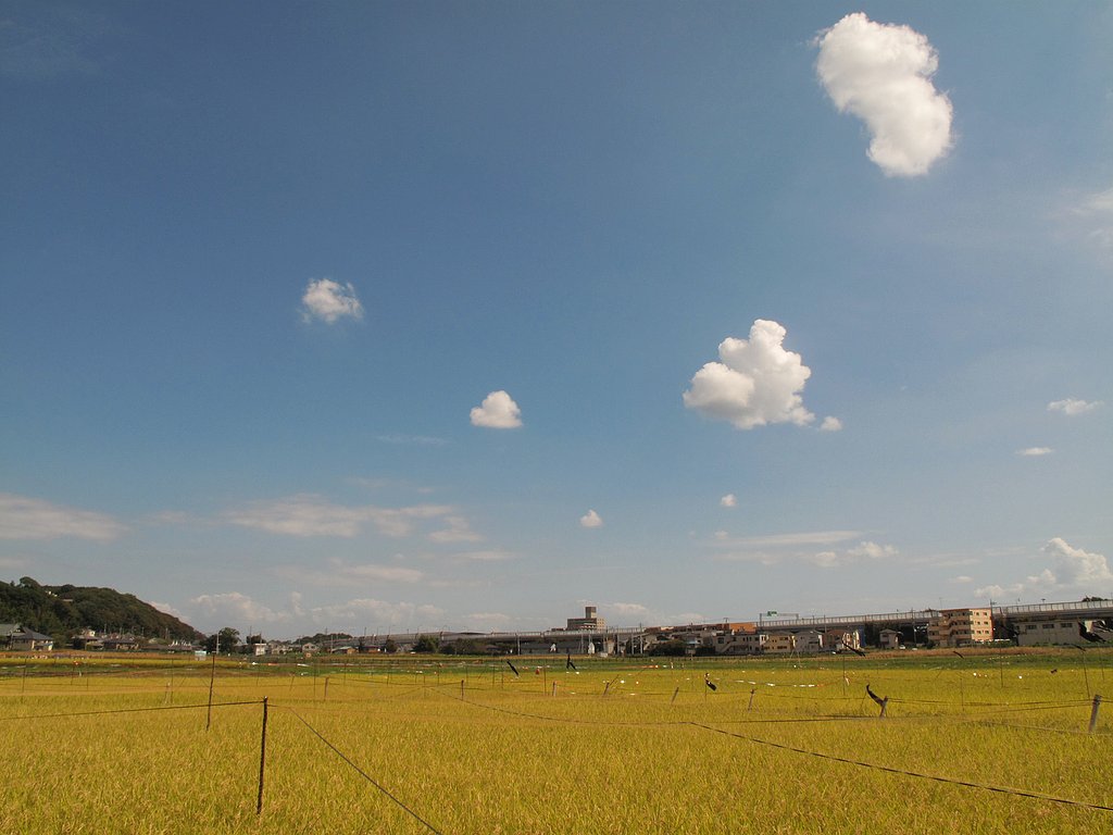 秋の空